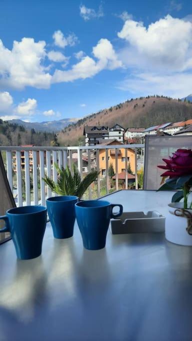 Apartament Erika Premium Синая Экстерьер фото