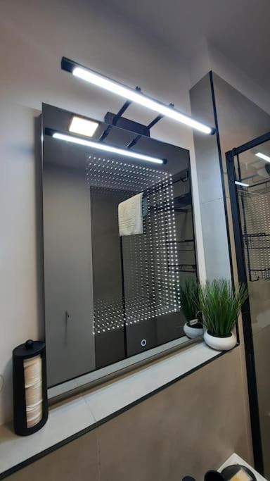 Apartament Erika Premium Синая Экстерьер фото